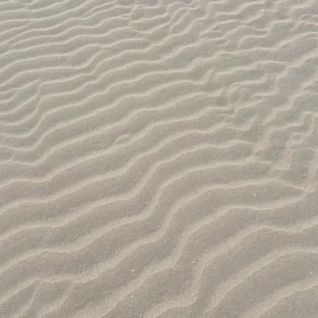 Ocean لاجاريس